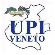 upi veneto